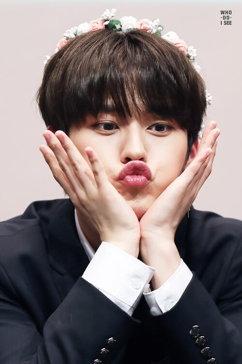 lino noot noot